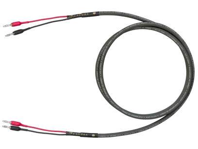 Cardas Speaker 101 2 m
