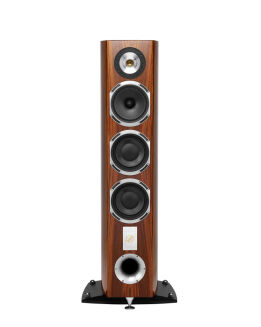 Triangle Magellan Cello 40th Gold Oak kolumna podłogowa - 3
