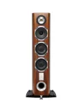 Triangle Magellan Cello 40th Gold Oak - 3