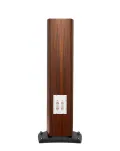 Triangle Magellan Cello 40th Gold Oak - 4