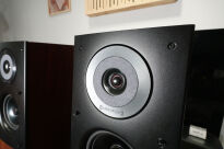 Audio Physic Virgo III orzech - EX DEMO - 4