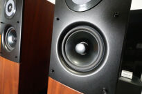 Audio Physic Virgo III orzech - EX DEMO - 5