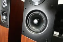 Audio Physic Virgo III orzech - EX DEMO - 5