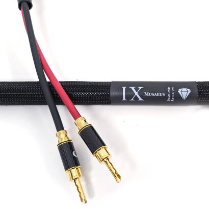 Purist Audio Design Musaeus DR kabel głośnikowy 2x3 m