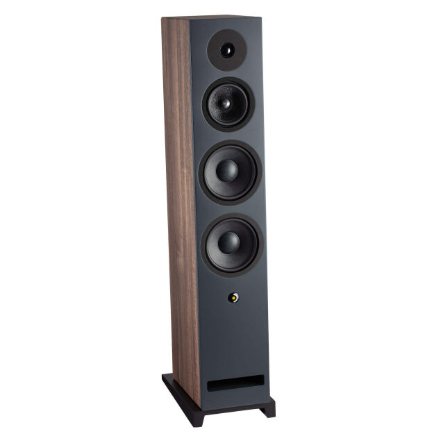 Davis Acoustics Krypton 9 orzech - OUTLET