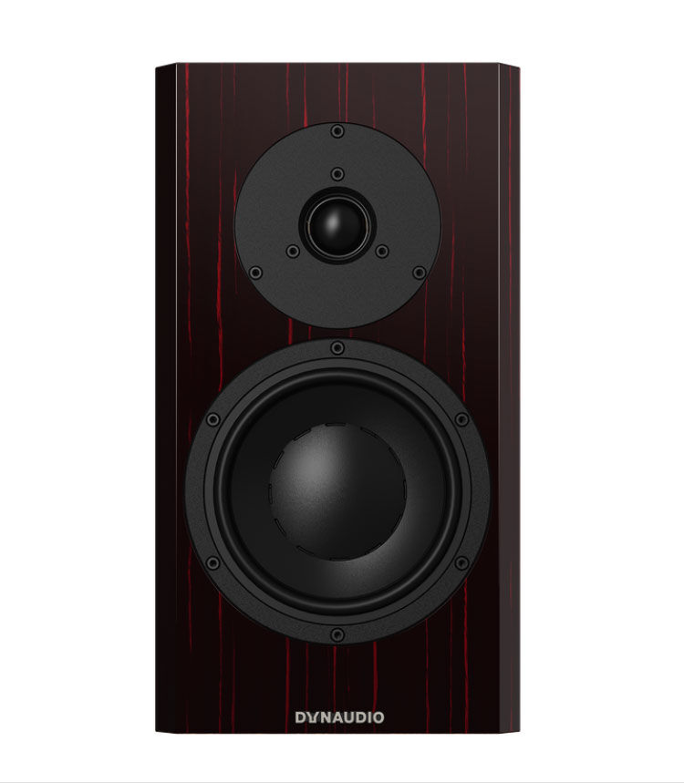 Dynaudio Special 40 black wine kolumna podstawkowa